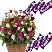 Multi Roses N Cadbury Chocolates