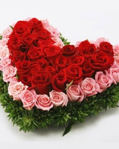 Lovely Valentine Feelings ###