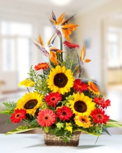 Sunflower & red Gerbera basket