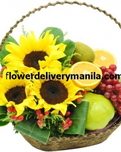 6 items fruits & sunflower